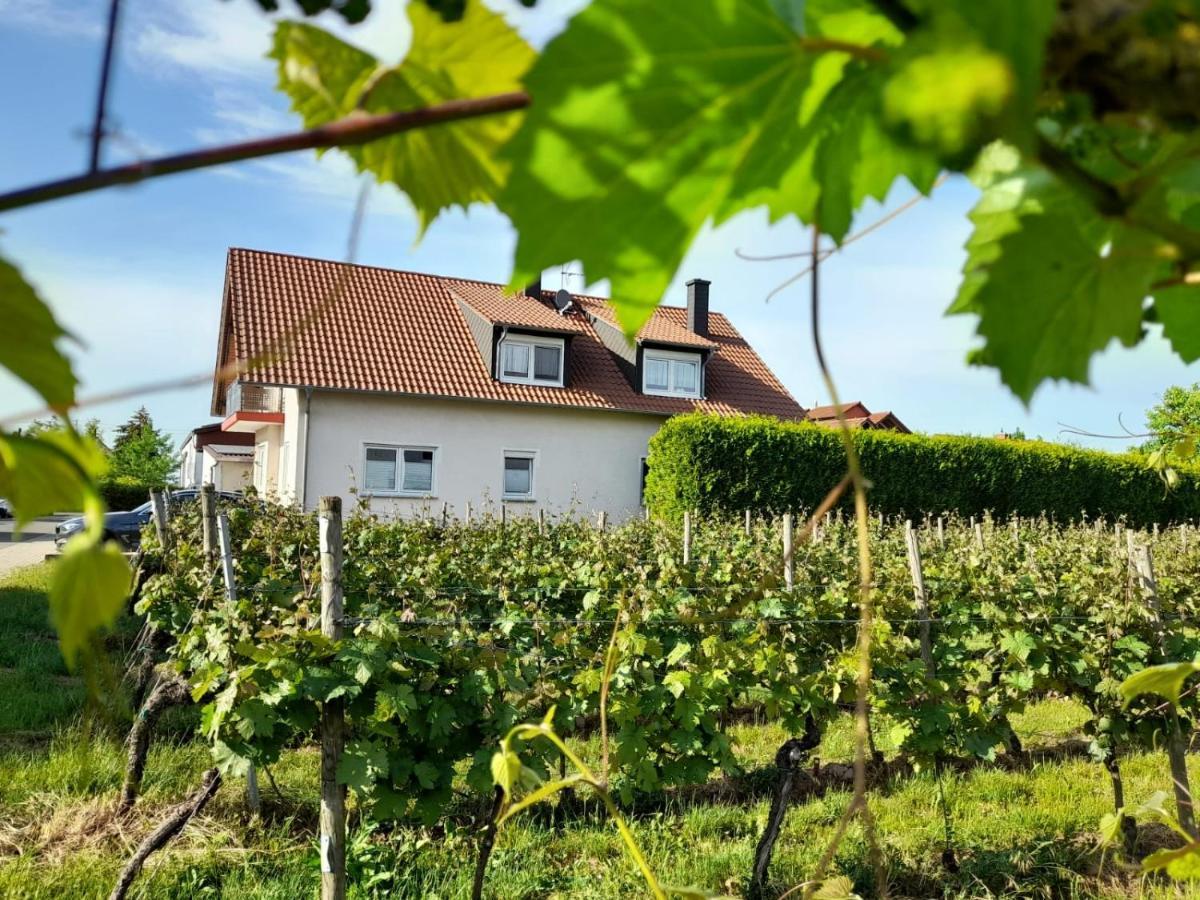 Ferienwohnung Am Schoosberg, Niederkirchen Bei Deidesheim Exterior foto